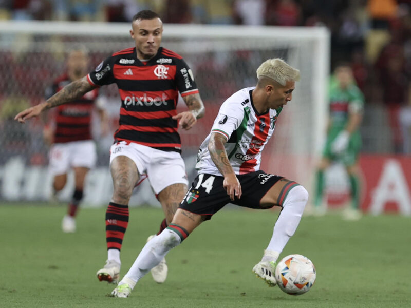 Palestino vs. Flamengo por Copa Libertadores: Día, horario y cómo ver por TV