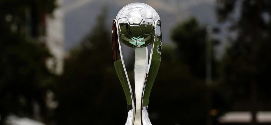 Copa de la Liga 2026: ¿Qué es y cuándo se juega el nuevo torneo del fútbol chileno?