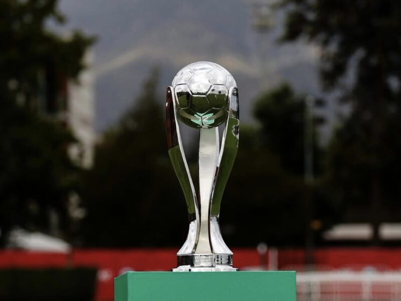 Copa de la Liga 2026: ¿Qué es y cuándo se juega el nuevo torneo del fútbol chileno?